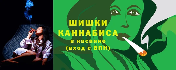 дурь Покачи