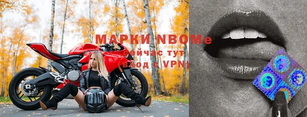дурь Покачи