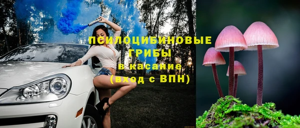 дурь Покачи