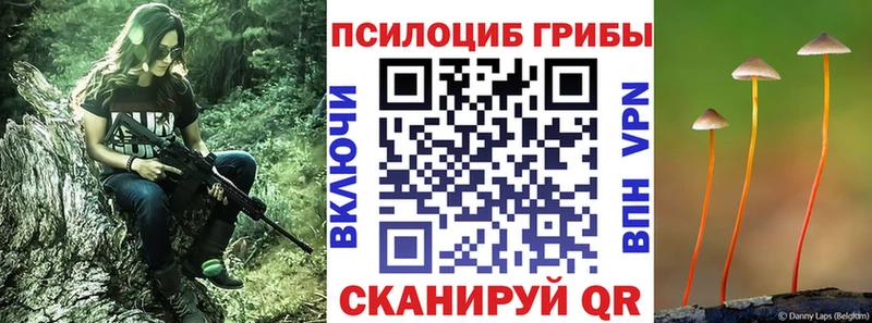 закладки  Барабинск  Псилоцибиновые грибы MAGIC MUSHROOMS 