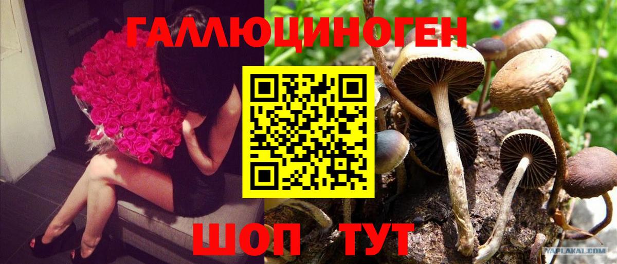 Псилоцибиновые грибы GOLDEN TEACHER Барабинск